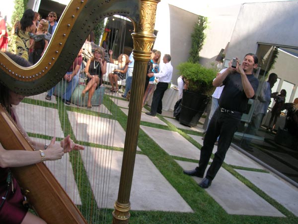 Stephanie Bennett plays harp at St. Martin's Animal Foundation fundraiser