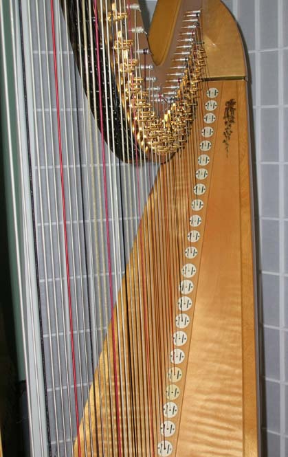LH electric harp, pickups viewed straight on