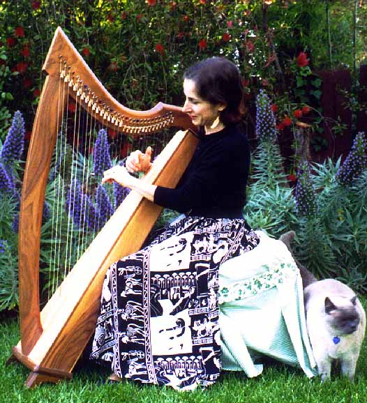 Lever harp