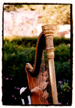 Stephanie Bennety playing harp at a wedding.